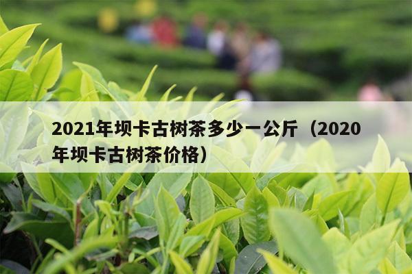 2021年坝卡古树茶多少一公斤（2020年坝卡古树茶价格）