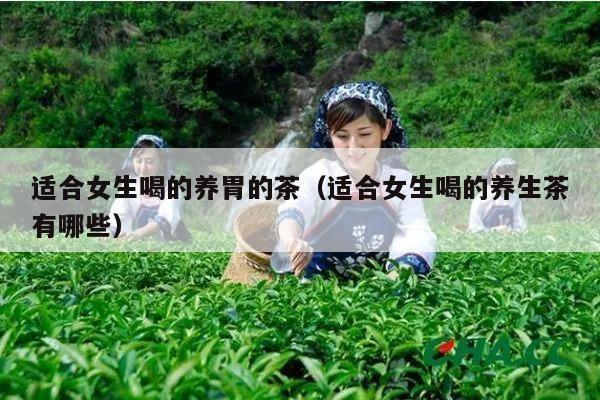 适合女生喝的养胃的茶（适合女生喝的养生茶有哪些）