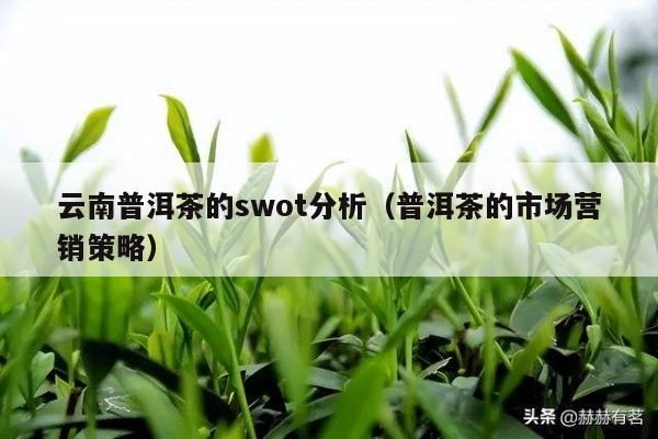 云南普洱茶的swot分析（普洱茶的市场营销策略）