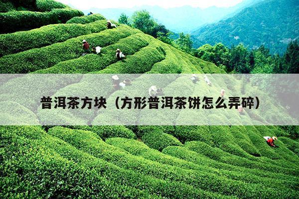 普洱茶方块（方形普洱茶饼怎么弄碎）