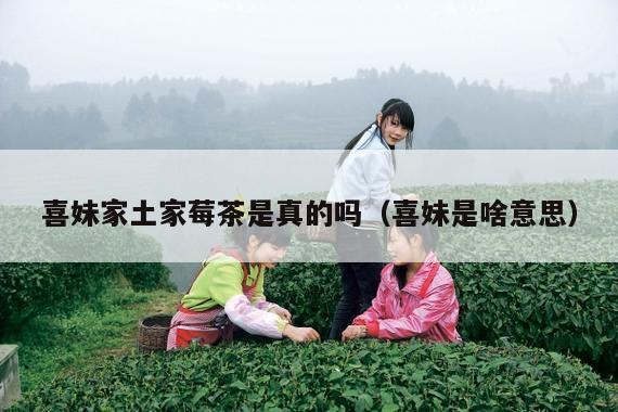 喜妹家土家莓茶是真的吗（喜妹是啥意思）