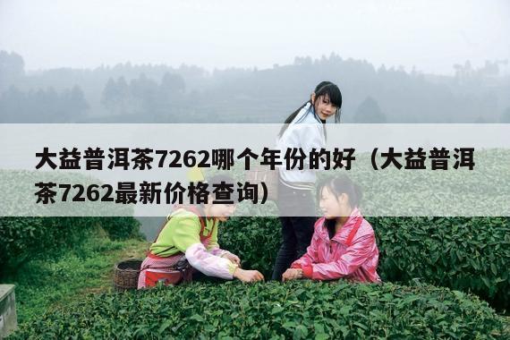 大益普洱茶7262哪个年份的好（大益普洱茶7262最新价格查询）