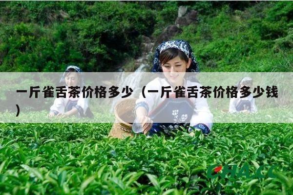 一斤雀舌茶价格多少（一斤雀舌茶价格多少钱）