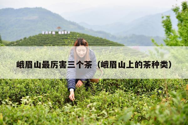 峨眉山最厉害三个茶（峨眉山上的茶种类）