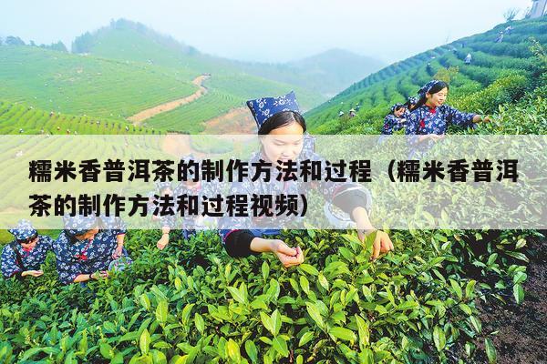 糯米香普洱茶的制作方法和过程（糯米香普洱茶的制作方法和过程视频）