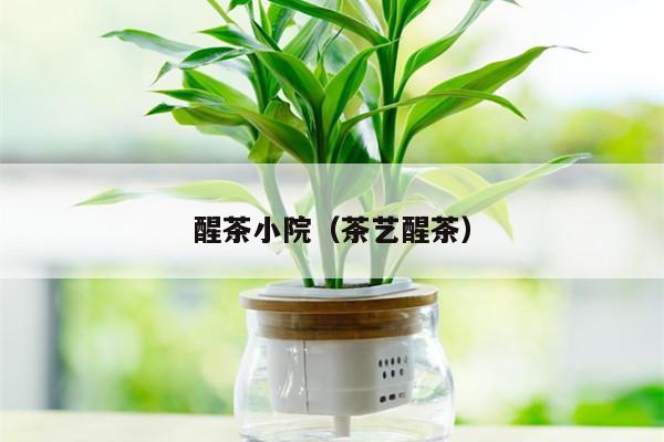 醒茶小院（茶艺醒茶）