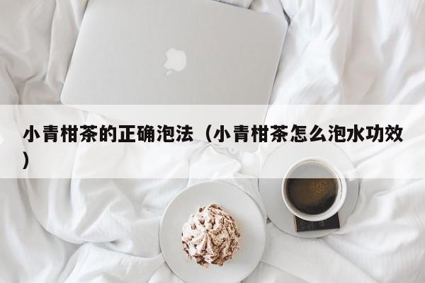 小青柑茶的正确泡法（小青柑茶怎么泡水功效）