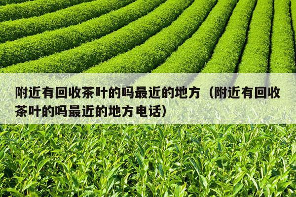 附近有回收茶叶的吗最近的地方（附近有回收茶叶的吗最近的地方电话）