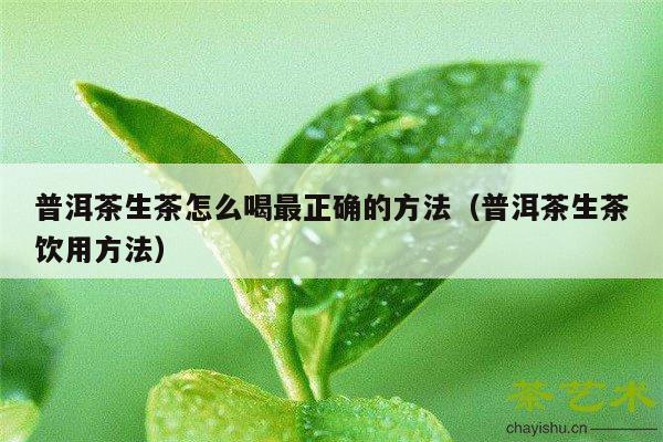 普洱茶生茶怎么喝最正确的方法（普洱茶生茶饮用方法）