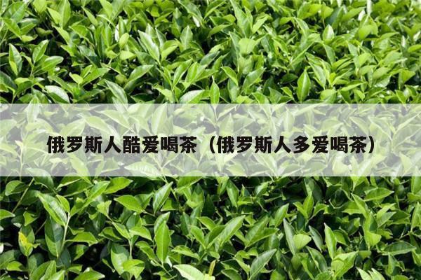 俄罗斯人酷爱喝茶（俄罗斯人多爱喝茶）