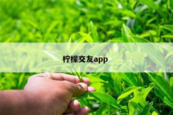 柠檬交友app 