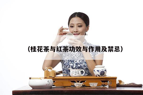 （桂花茶与红茶功效与作用及禁忌）