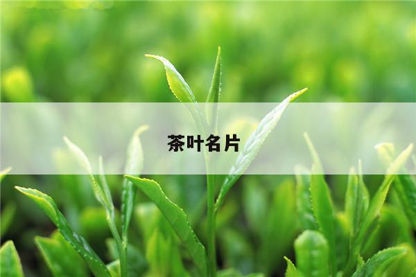 茶叶名片 