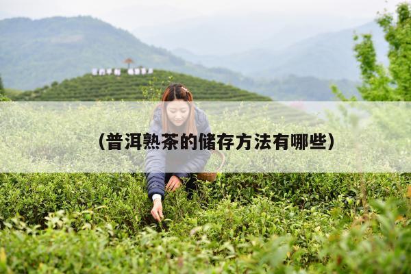 （普洱熟茶的储存方法有哪些）