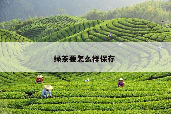 绿茶要怎么样保存 