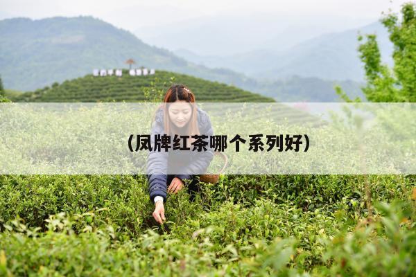 （凤牌红茶哪个系列好）