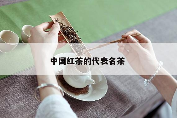 中国红茶的代表名茶 