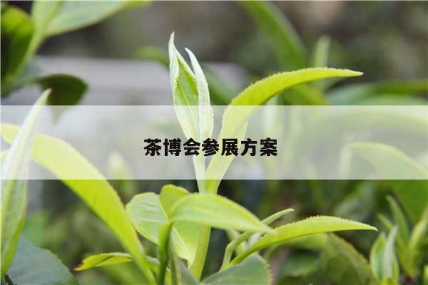 茶博会参展方案 