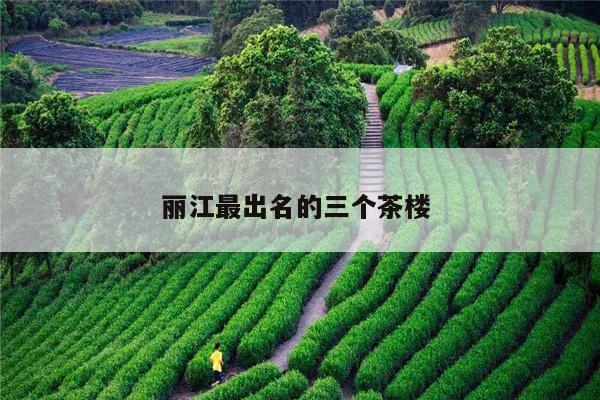 丽江最出名的三个茶楼 