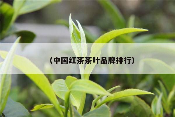 （中国红茶茶叶品牌排行）