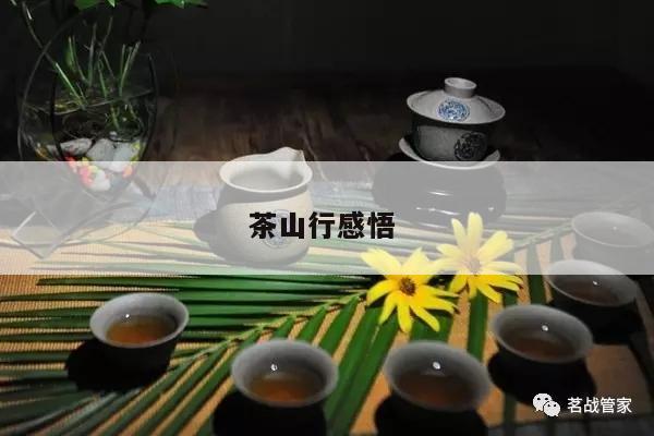 茶山行感悟 