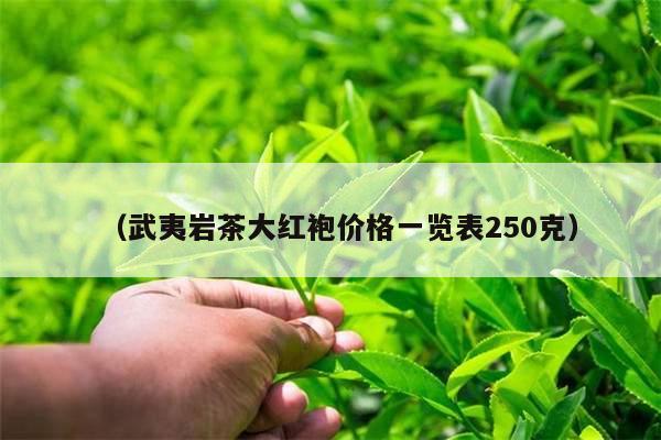 （武夷岩茶大红袍价格一览表250克）