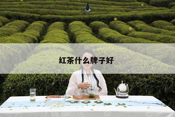 红茶什么牌子好 