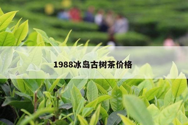 1988冰岛古树茶价格 