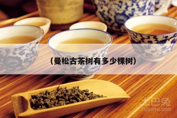 （曼松古茶树有多少棵树）