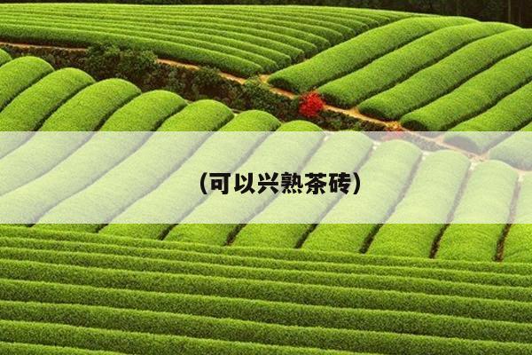 （可以兴熟茶砖）