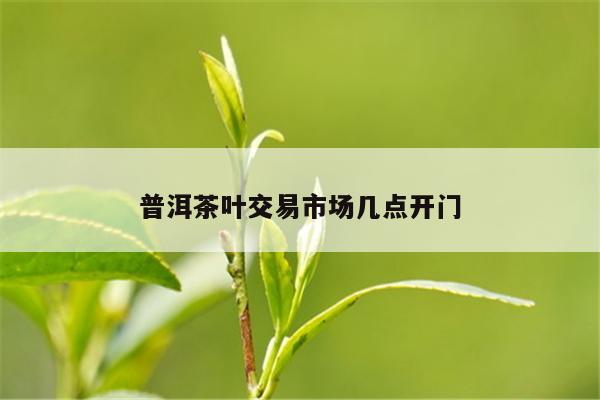 普洱茶叶交易市场几点开门