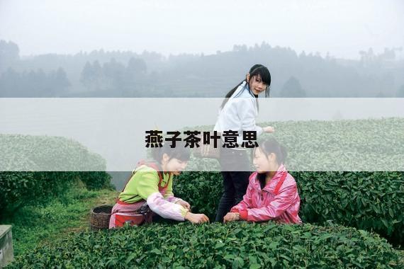 燕子茶叶意思