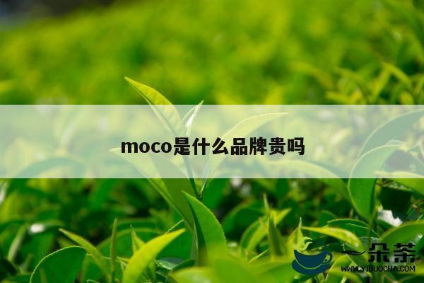 moco是什么品牌贵吗