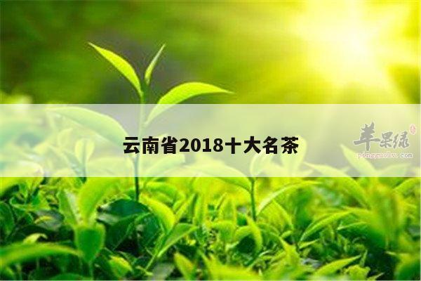 云南省2018十大名茶