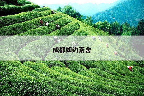 成都如约茶舍