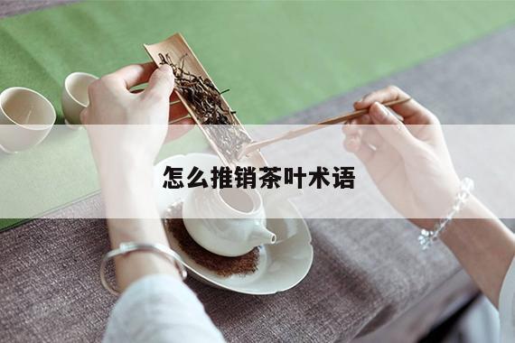 怎么推销茶叶术语