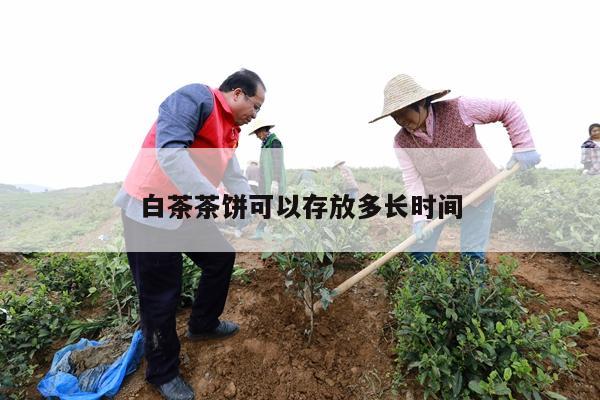 白茶茶饼可以存放多长时间