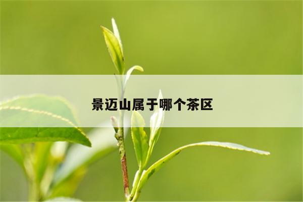 景迈山属于哪个茶区