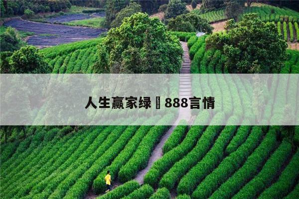 人生赢家绿嬑888言情