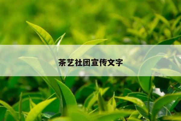 茶艺社团宣传文字