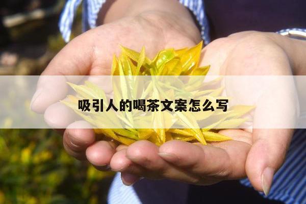 吸引人的喝茶文案怎么写