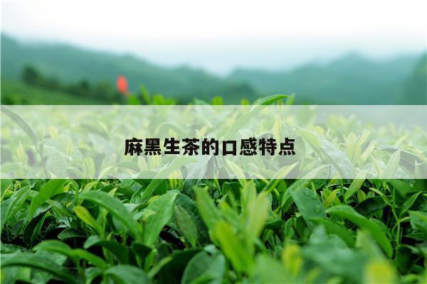 麻黑生茶的口感特点 