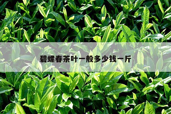 碧螺春茶叶一般多少钱一斤