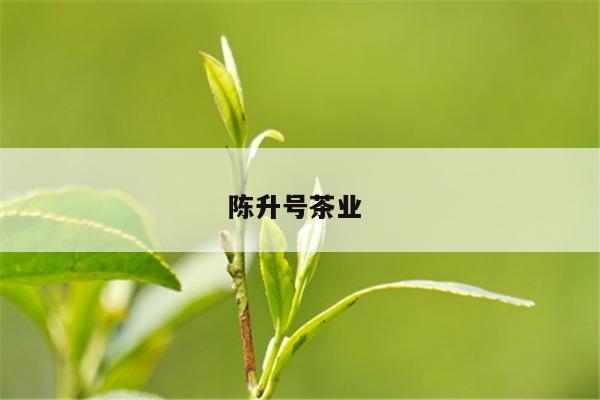 陈升号茶业 