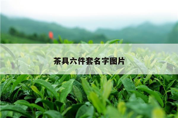 茶具六件套名字图片