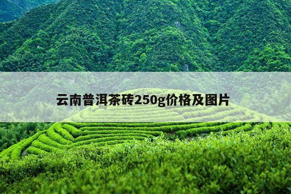 云南普洱茶砖250g价格及图片 