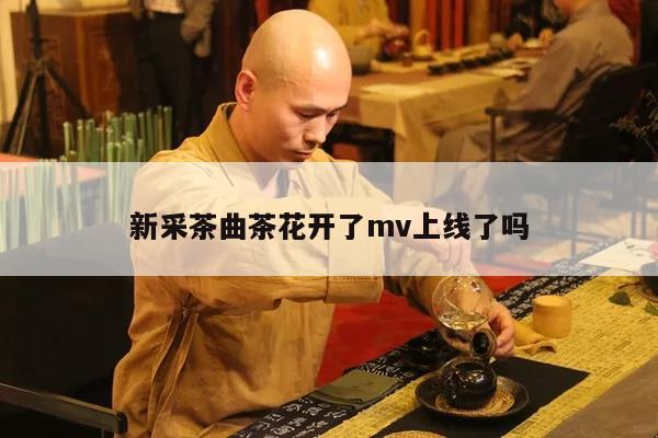 新采茶曲茶花开了mv上线了吗