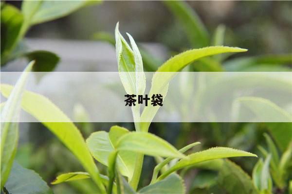 茶叶袋 