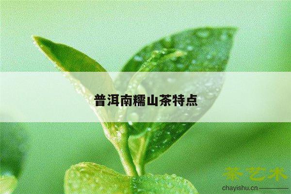 普洱南糯山茶特点