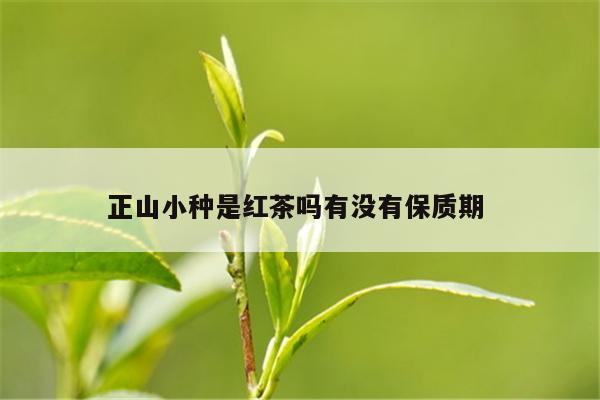 正山小种是红茶吗有没有保质期 